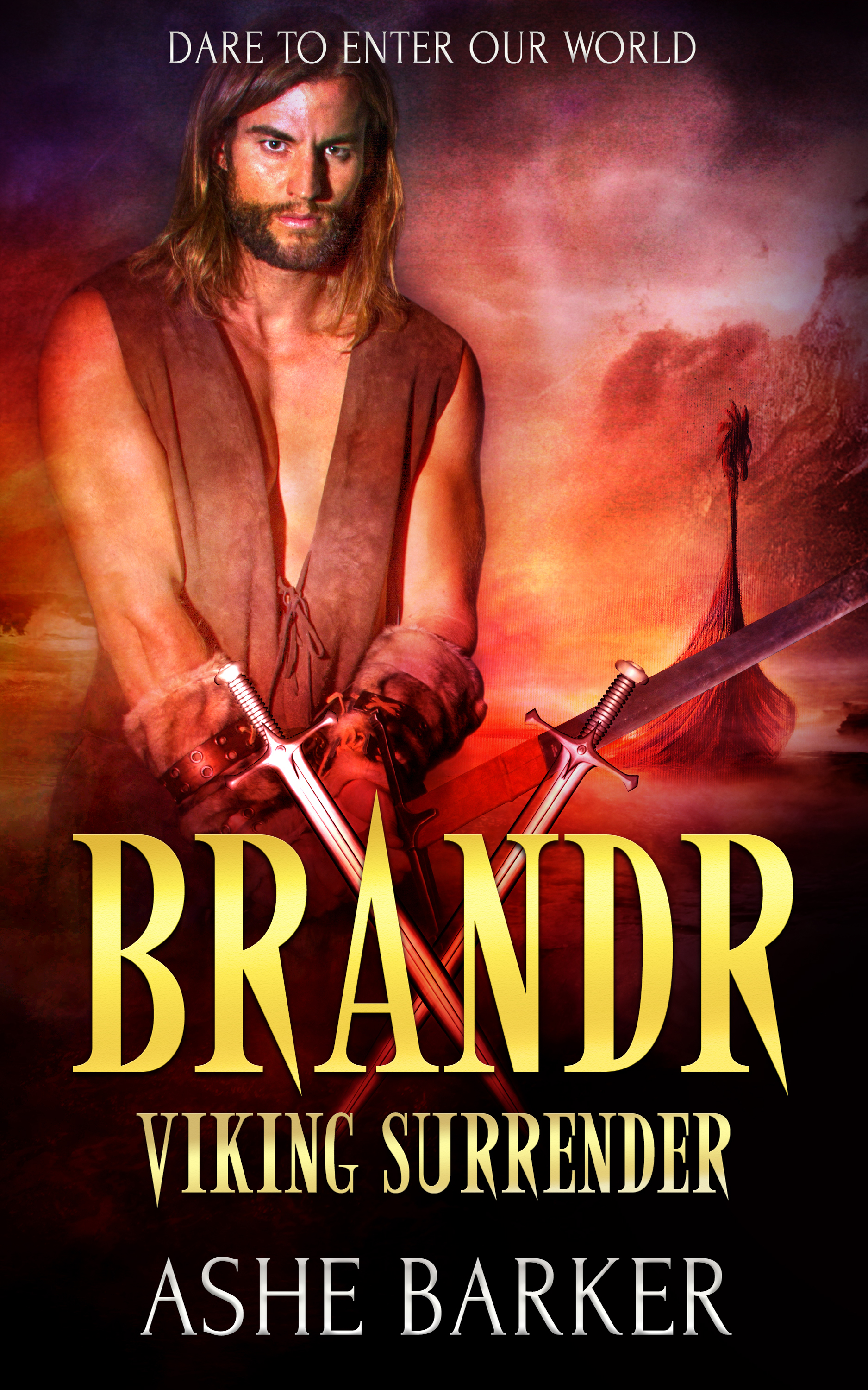 Viking Surrender book cover 2