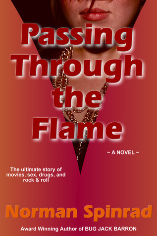 Passing through the Flame book cover