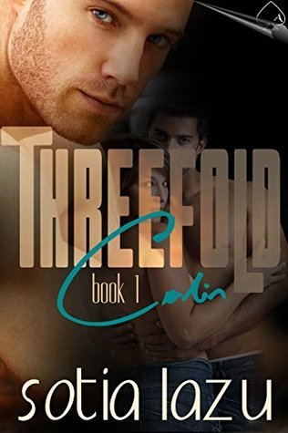 Threefold book cover 1