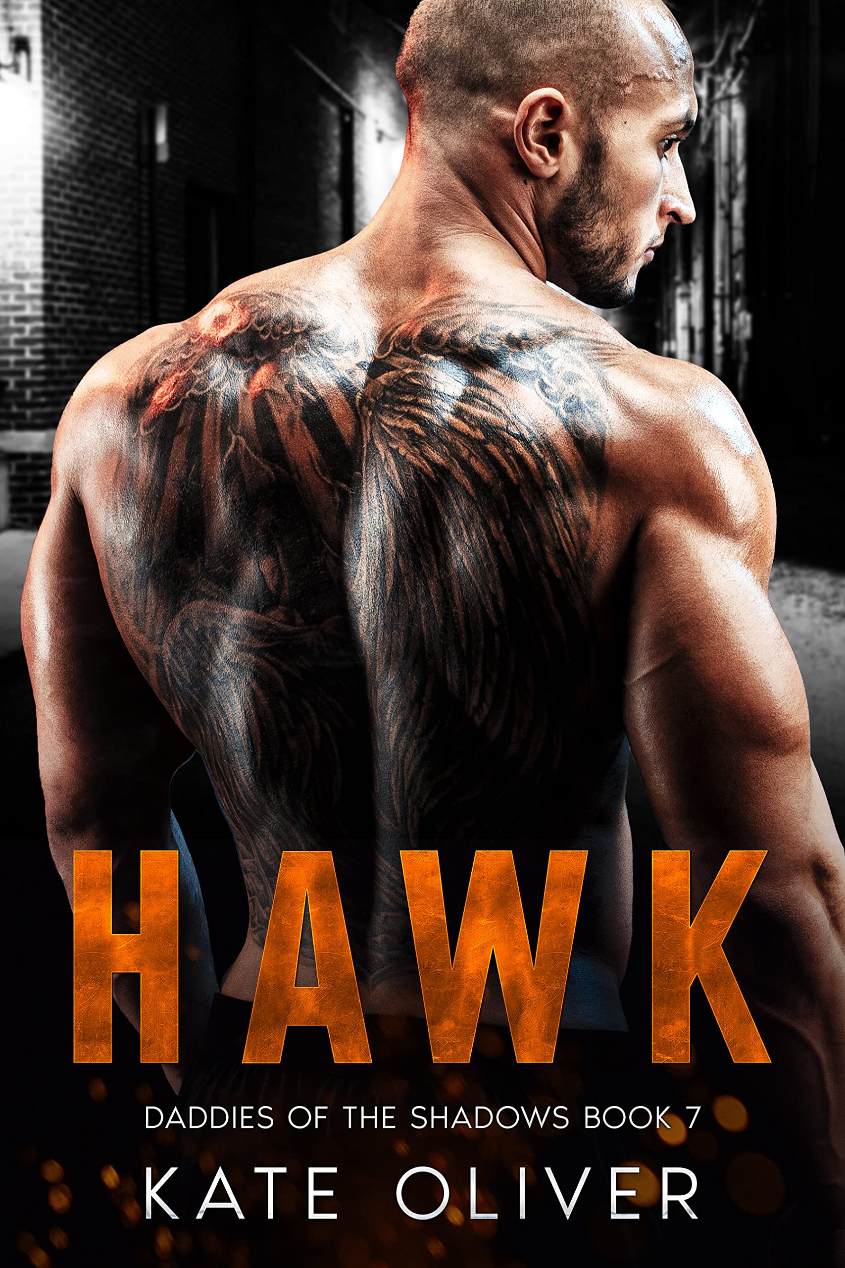 Hawk book cover