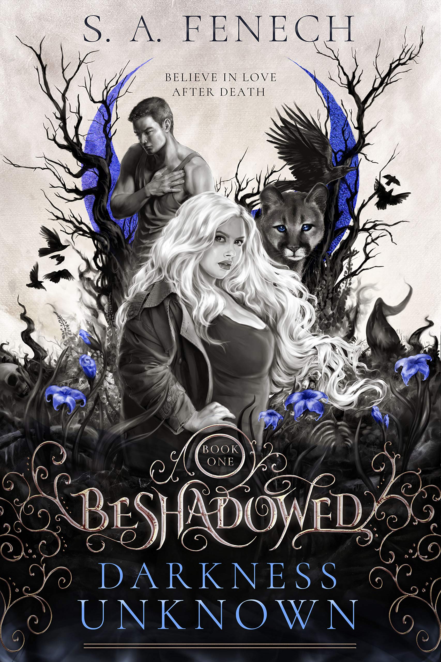 Beshadowed book cover 1