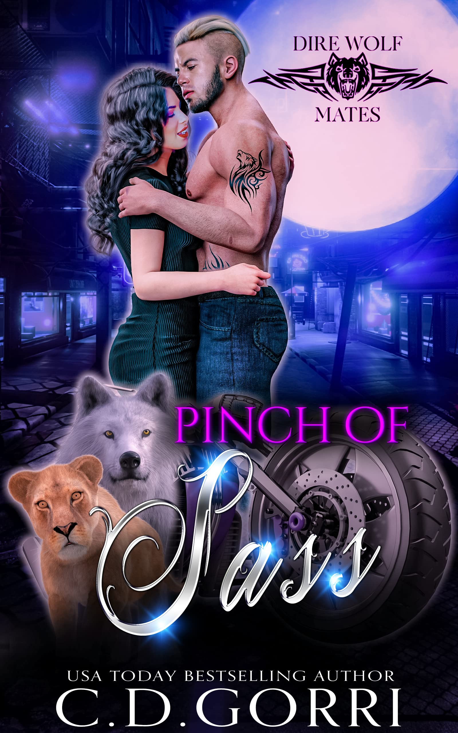 Pinch of Sass book cover