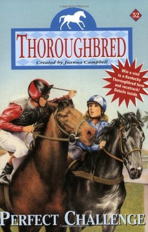 Perfect Challenge book cover