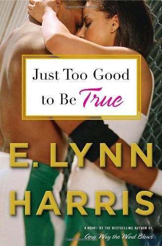Just Too Good to Be True book cover