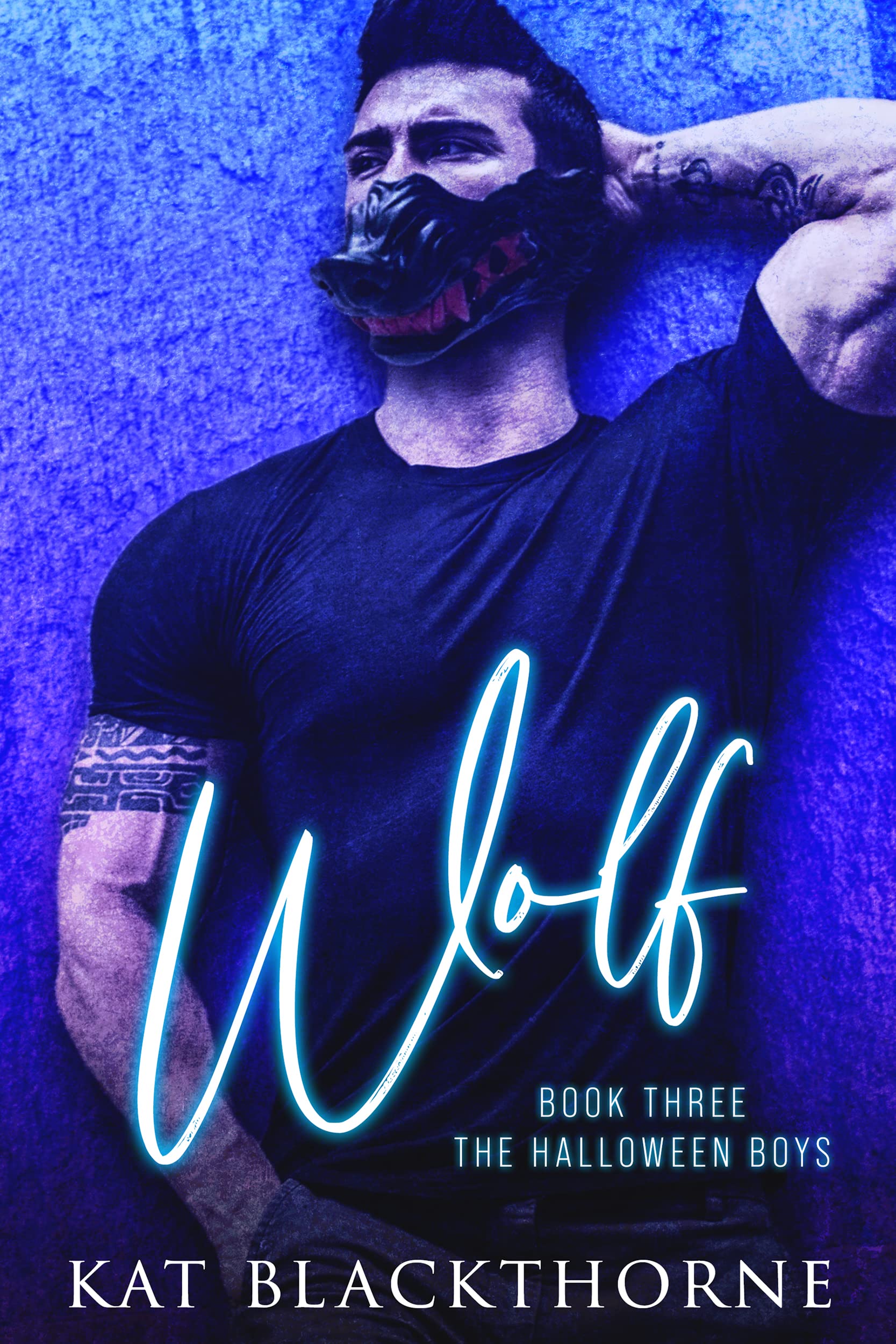 The Halloween Boys book cover 3