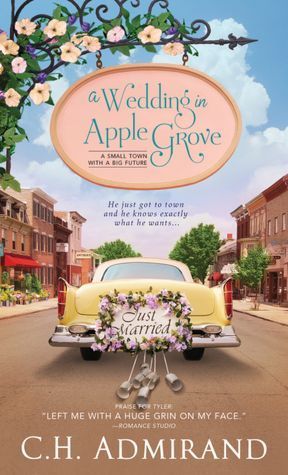Sweet Small Town USA book cover 1