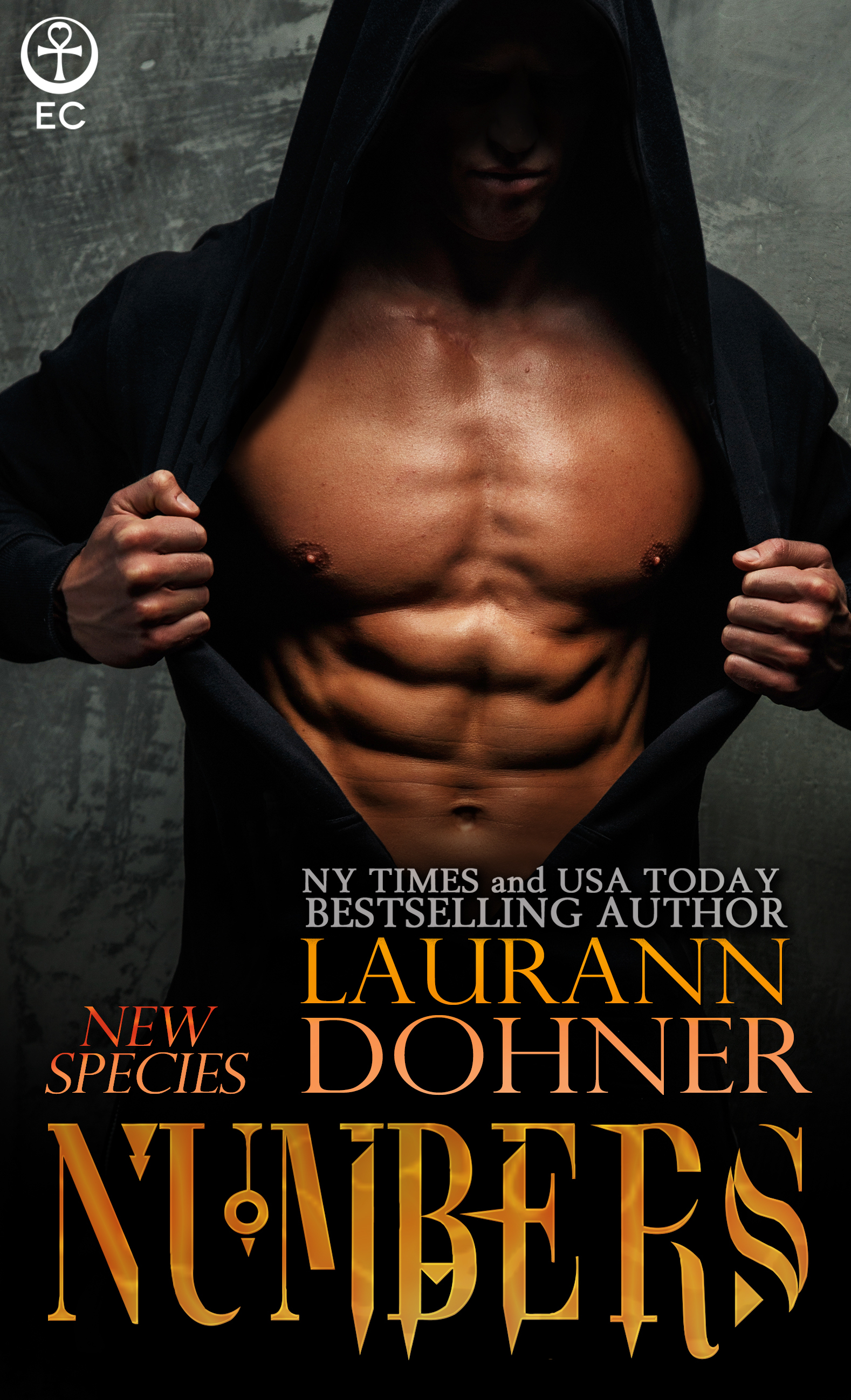 Numbers book cover