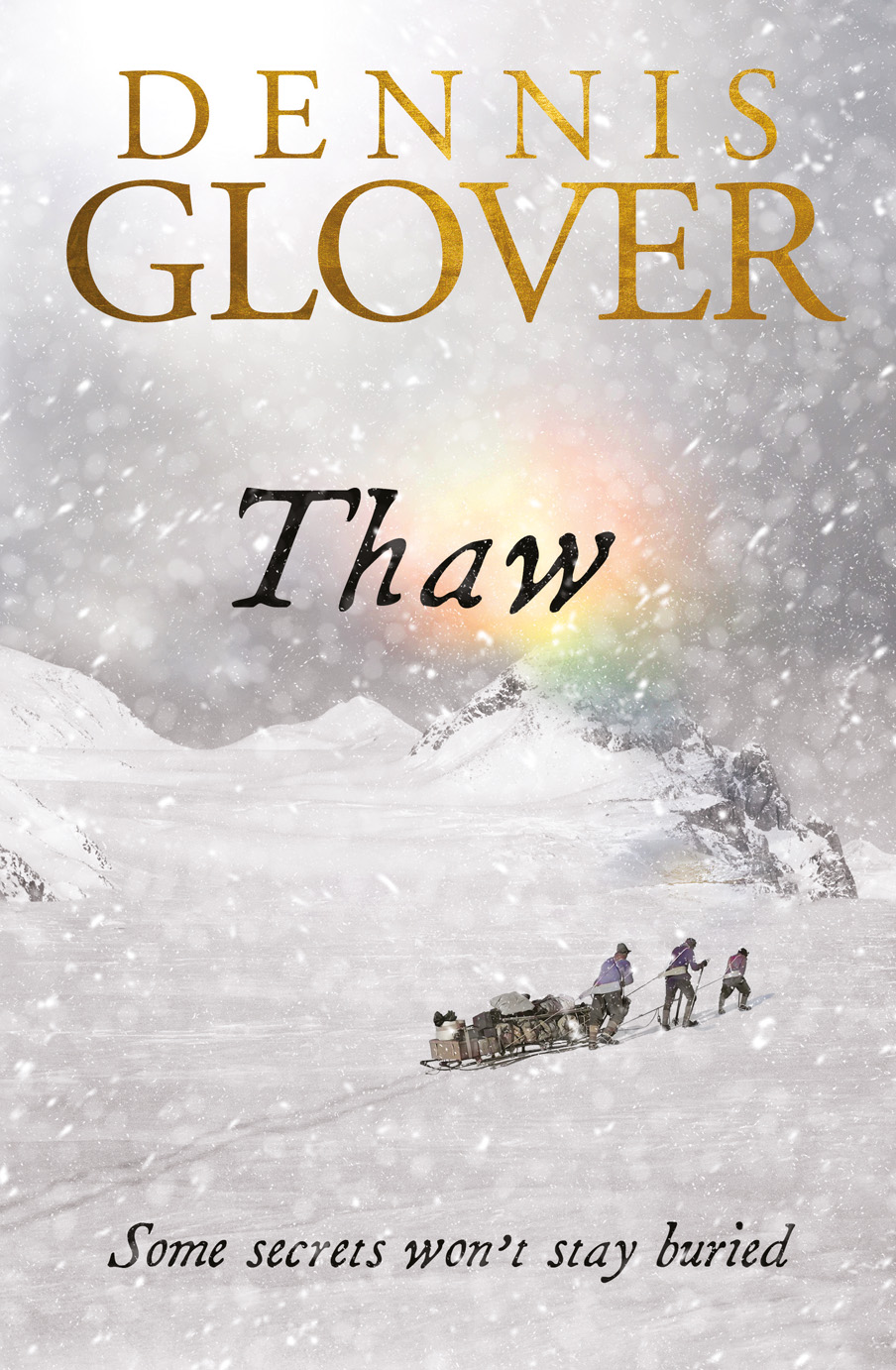Thaw book cover