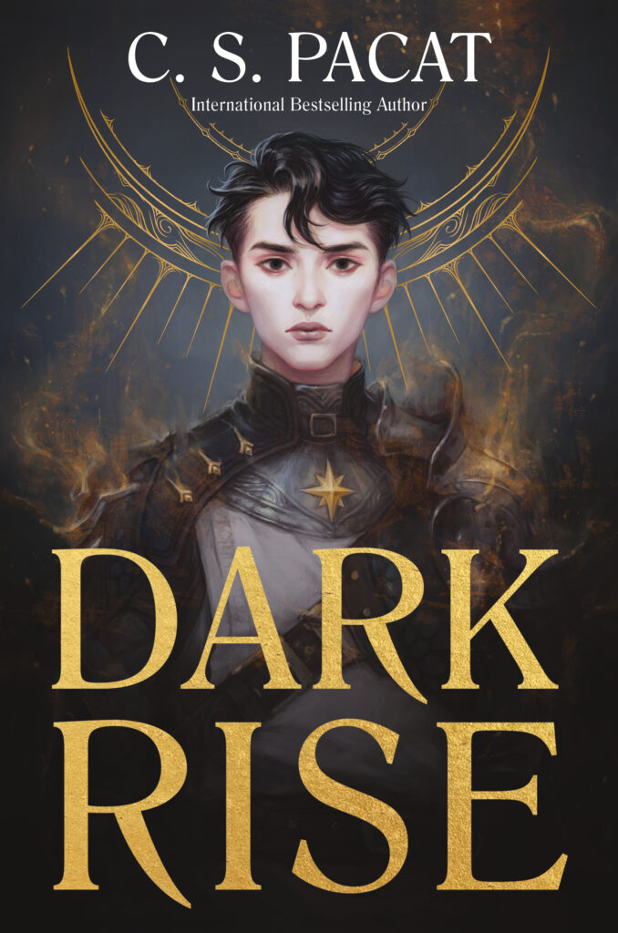 Dark Rise book cover 1