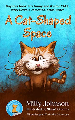 A Cat-Shaped Space book cover
