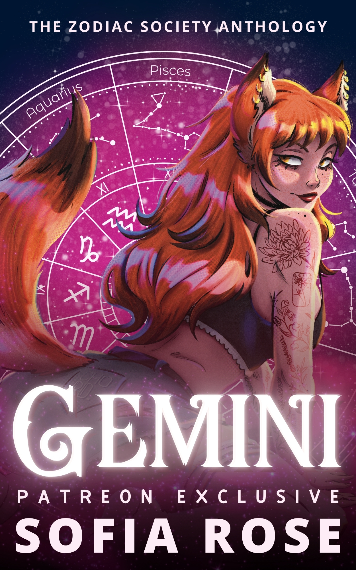 Gemini book cover