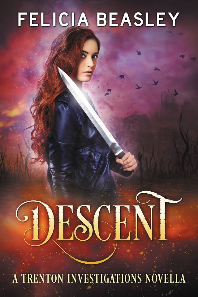 Descent book cover