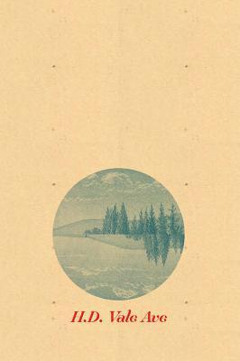 Vale Ave book cover