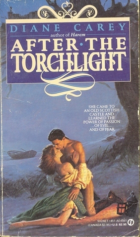 After the Torchlight book cover