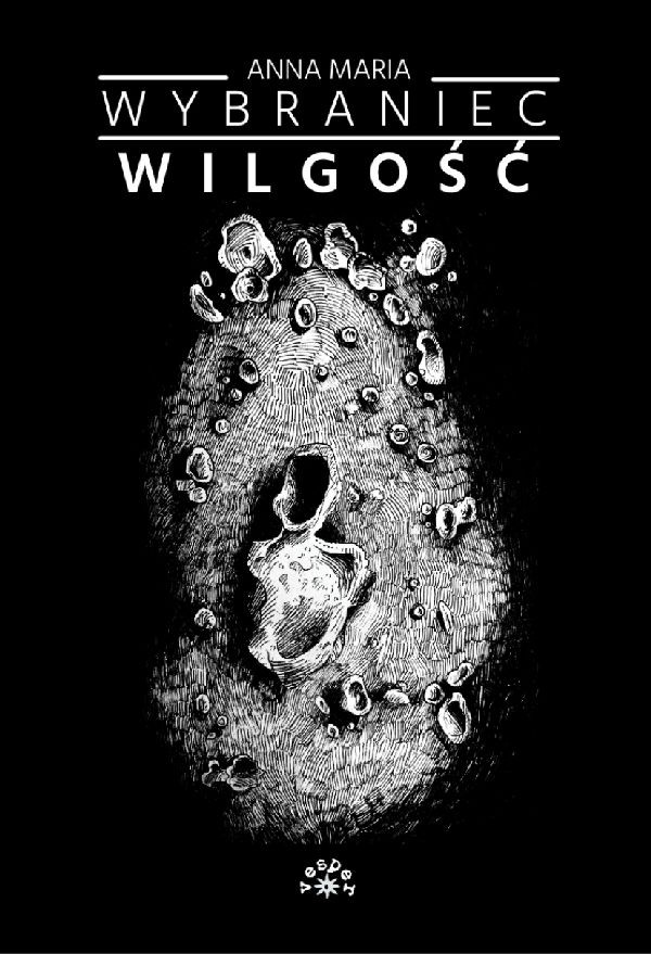 Wilgość book cover