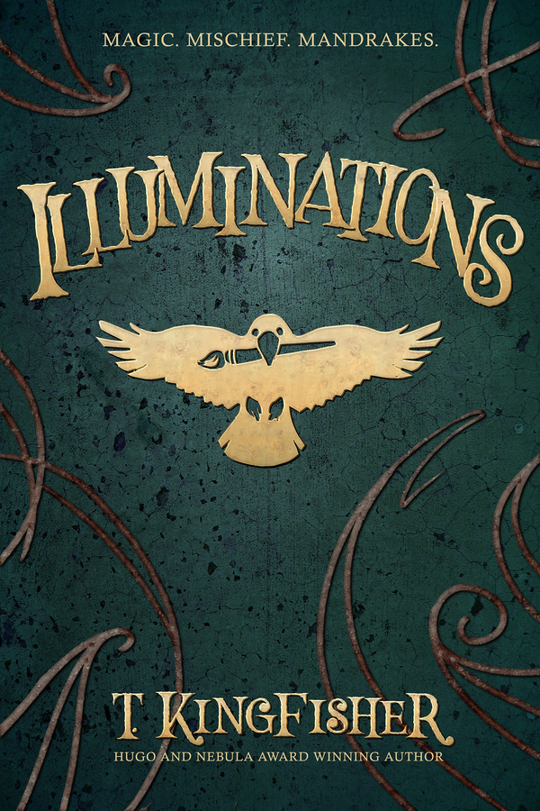 Illuminations book cover