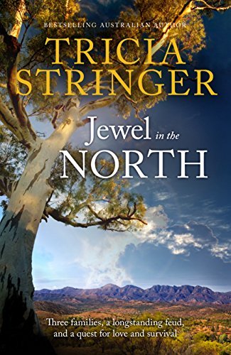 Jewel in the North book cover