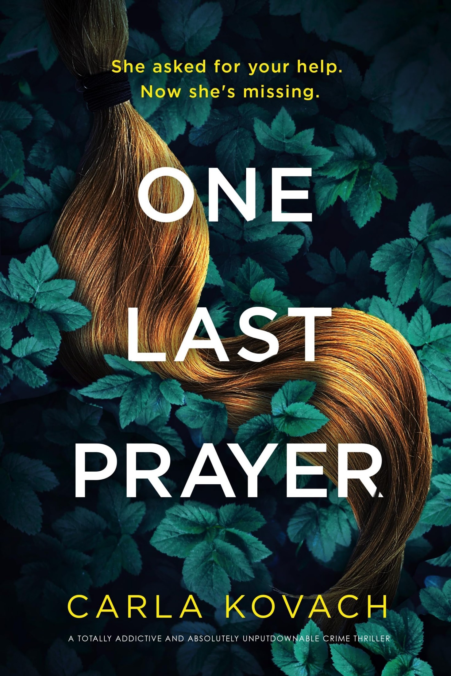 One Last Prayer book cover
