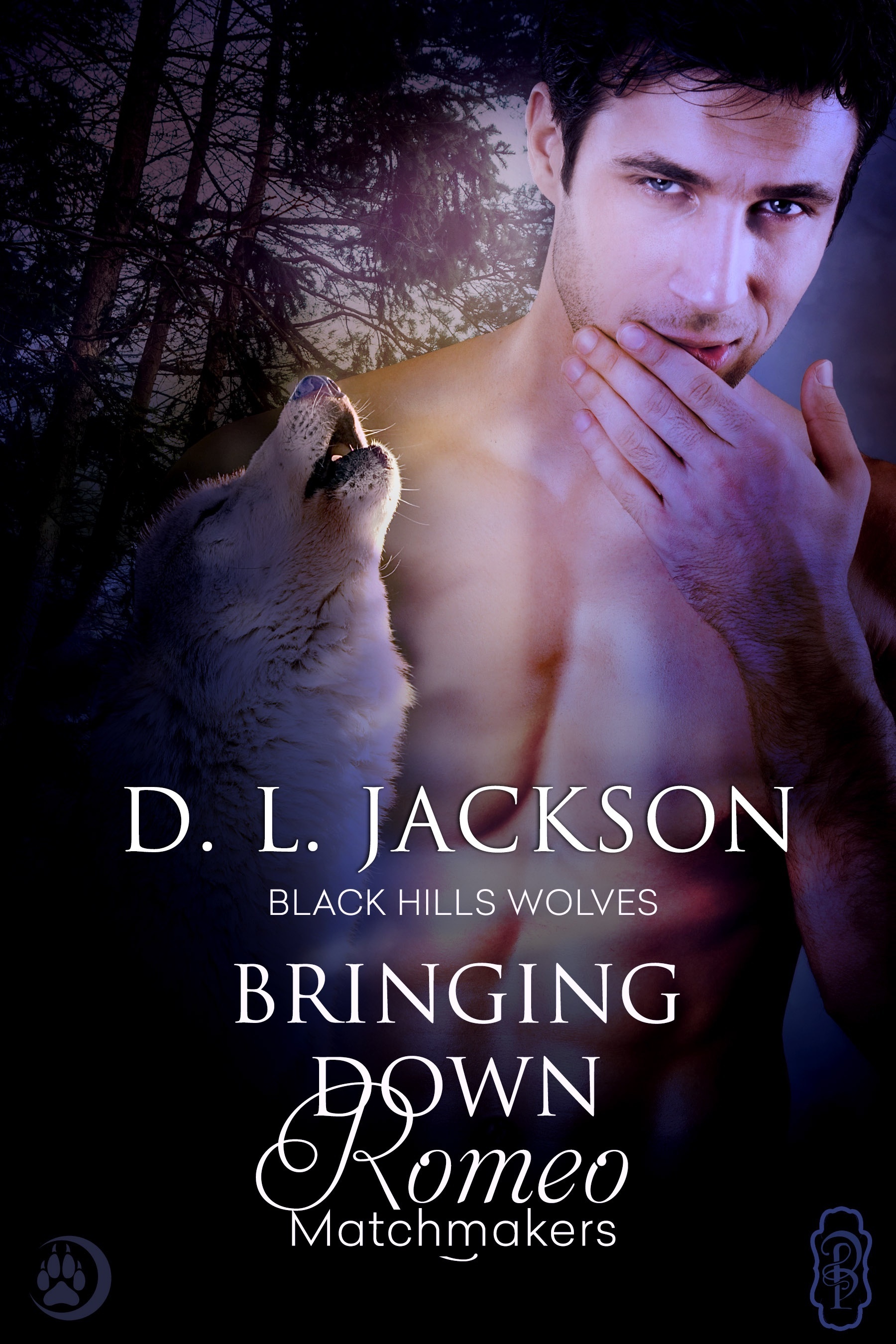 Bringing Down Romeo book cover