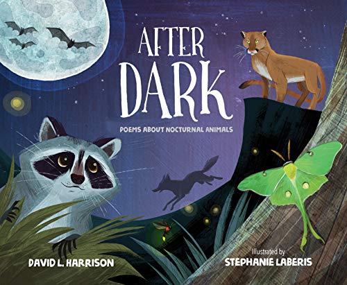 After Dark book cover