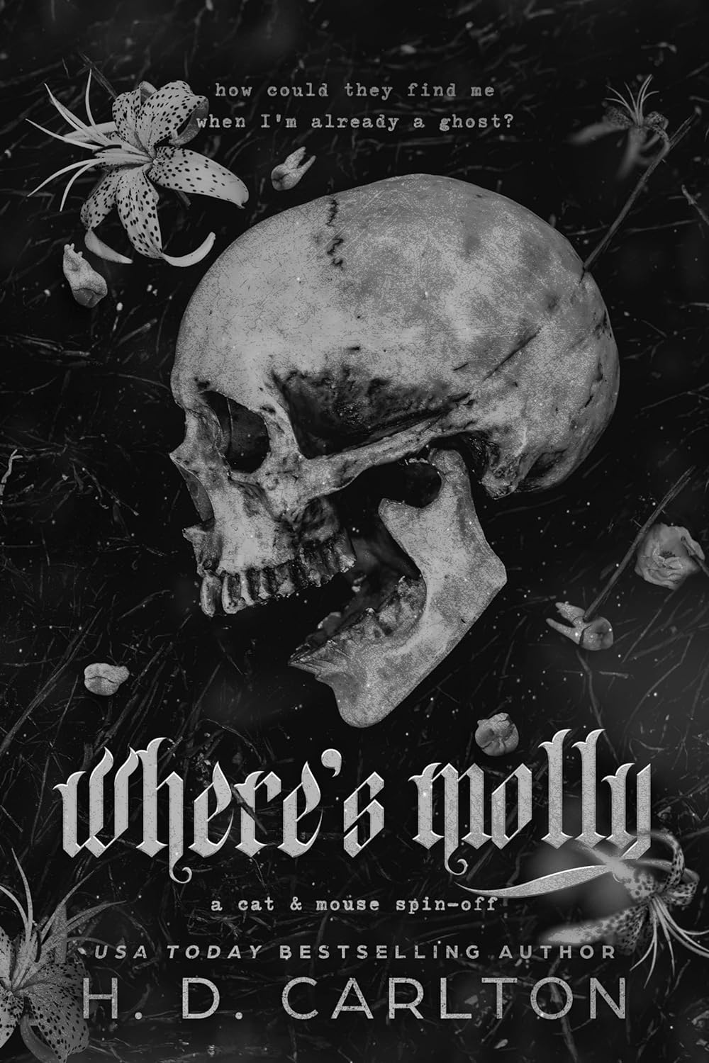 Where's Molly book cover