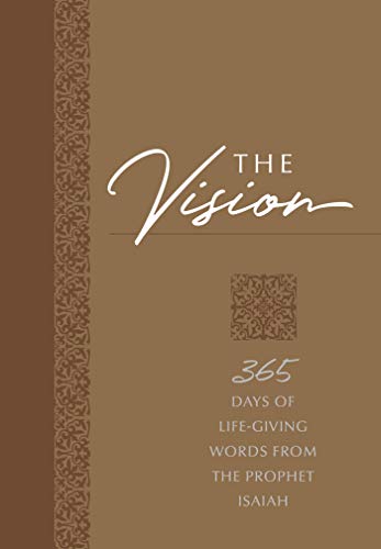 The Vision book cover