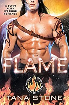 Flame book cover