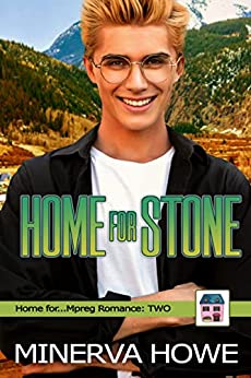 Home for Stone book cover