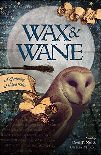 Wax & Wane book cover