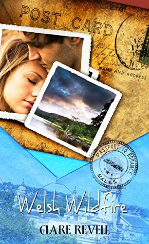 Welsh Wildfire book cover