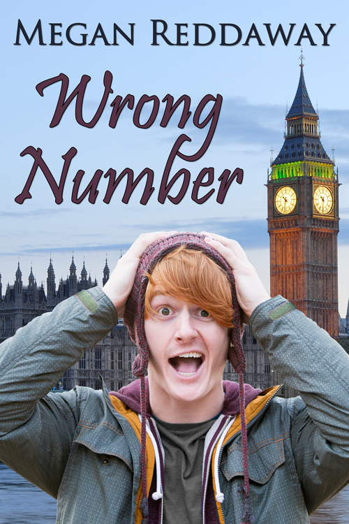 Wrong Number book cover