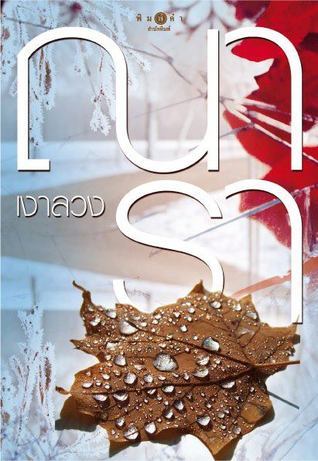 เงาลวง Shadow on Ice book cover