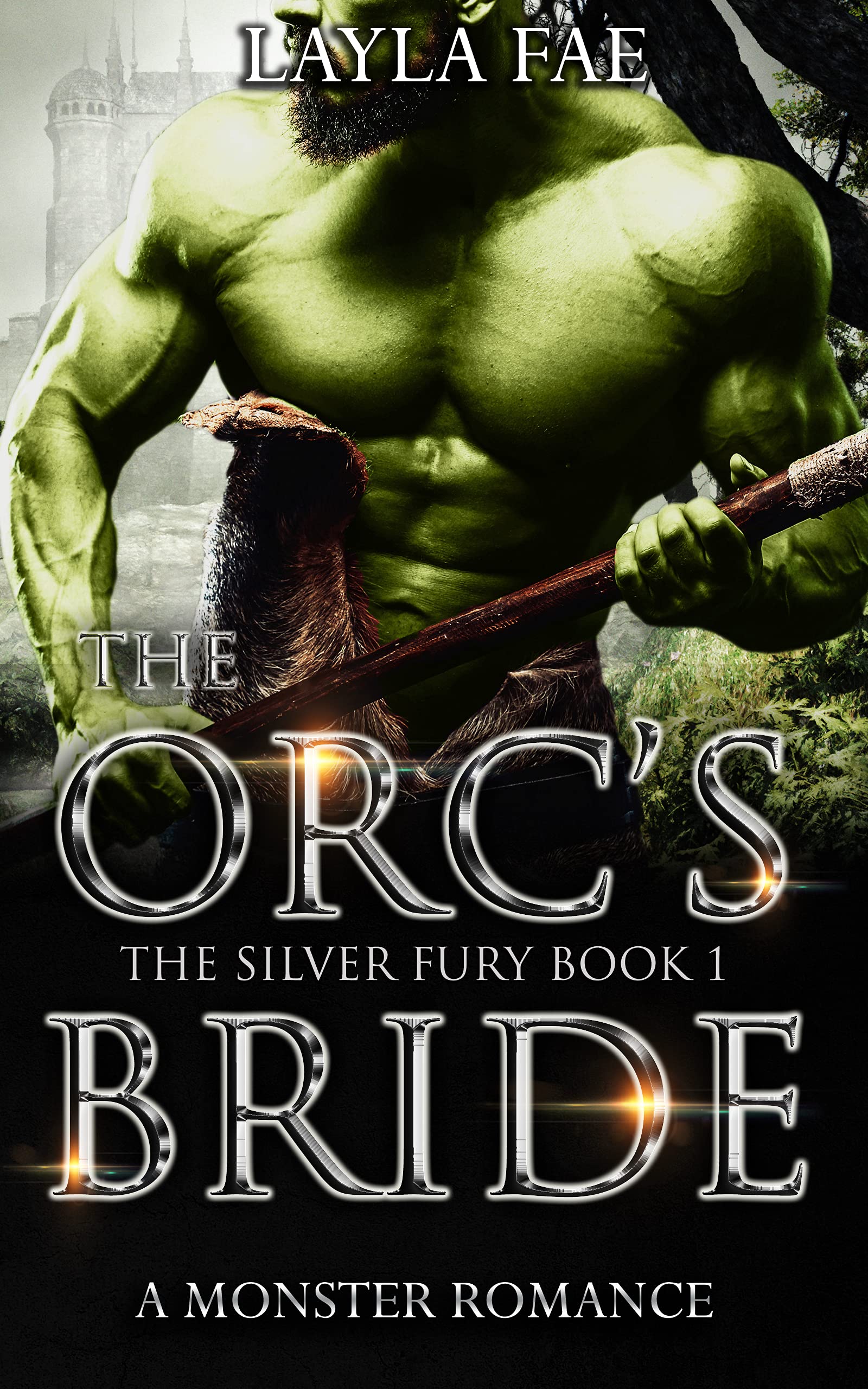 The Silver Fury book cover 1