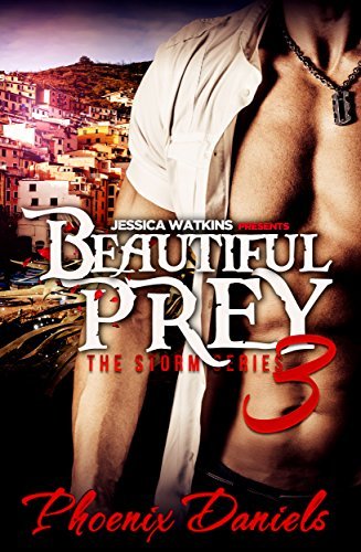 The Storm Series book cover 3
