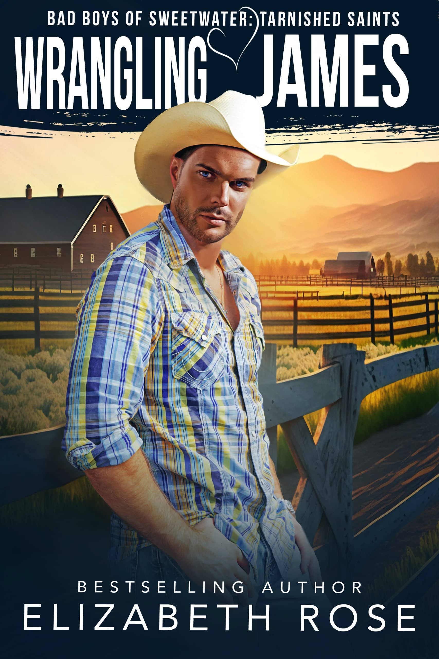Wrangling James book cover