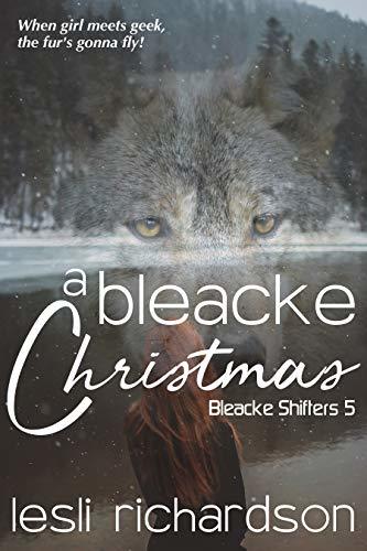 A Bleacke Christmas book cover