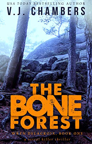 Wren Delacroix book cover 1