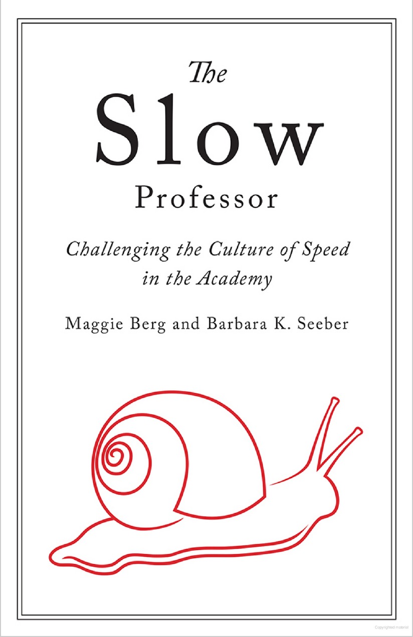 The Slow Professor book cover
