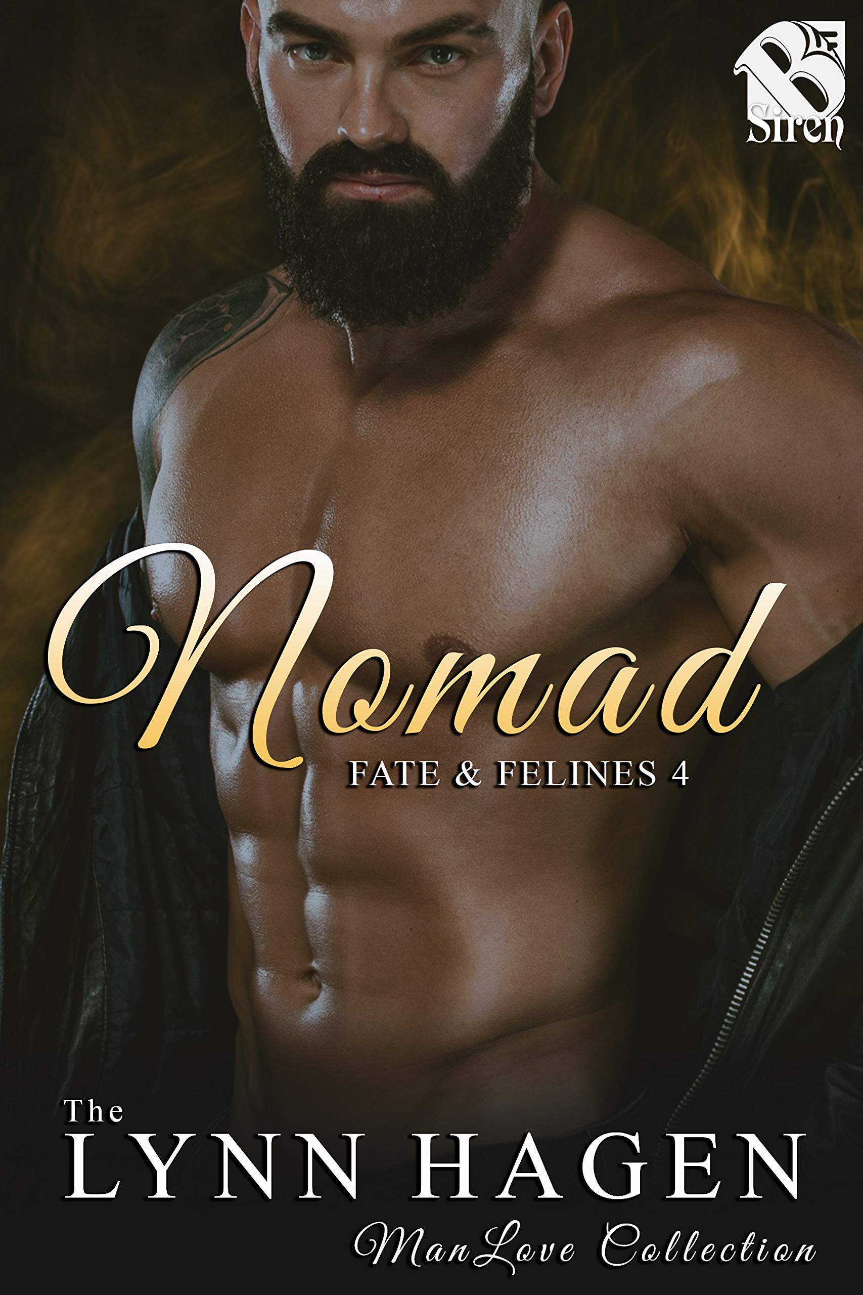Nomad book cover