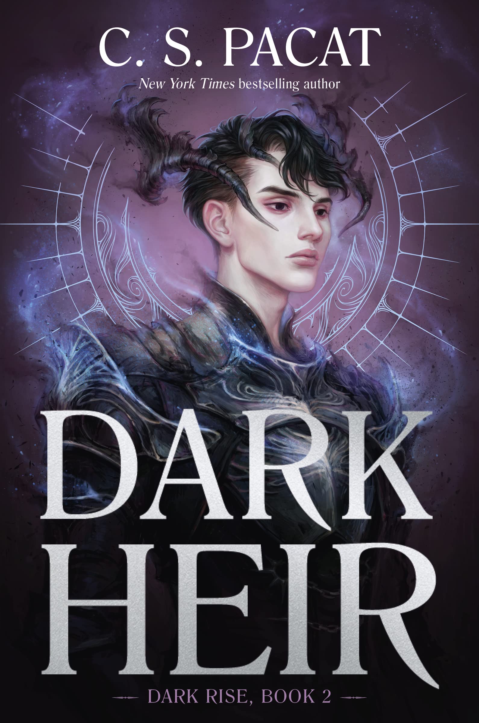 Dark Rise book cover 2