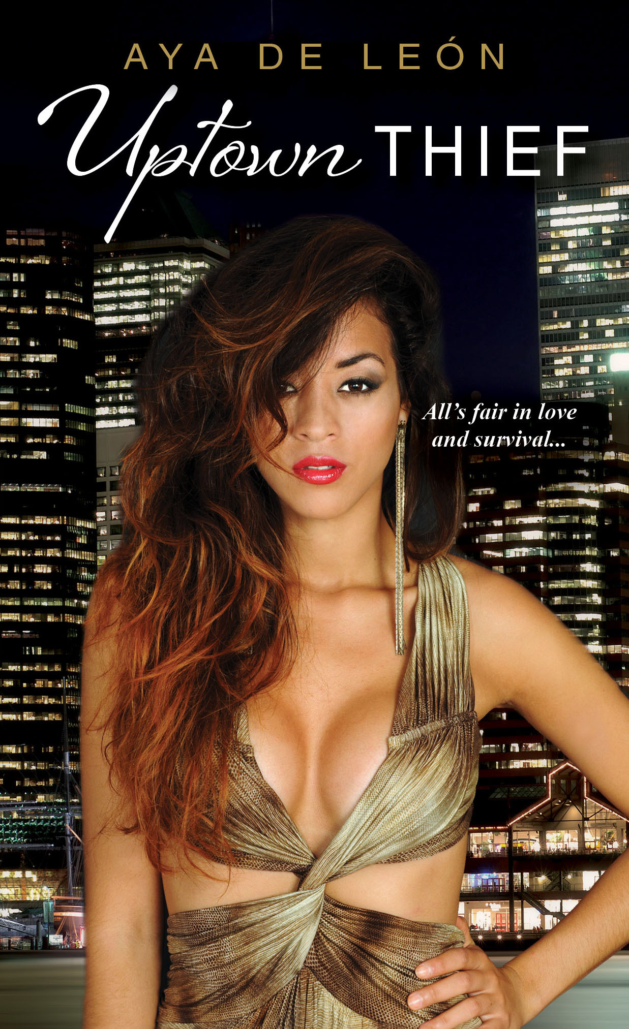 Justice Hustlers book cover 1
