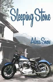 Sleeping Stone book cover