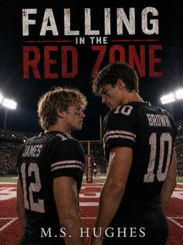 Falling In The Red Zone book cover