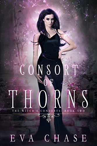 The Witch's Consorts book cover 2