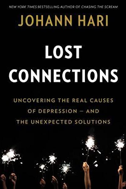 Lost Connections book cover