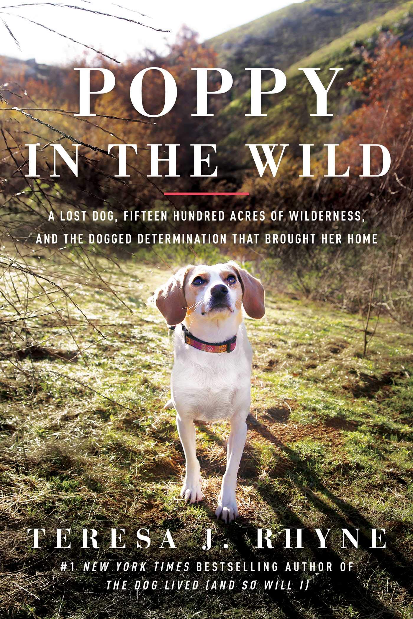 The Dog Lived book cover 3