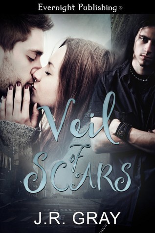 Veil of Scars book cover