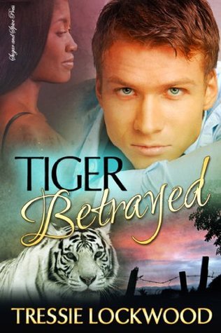 The Haven book cover 3