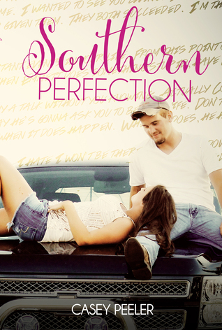 Southern Perfection book cover