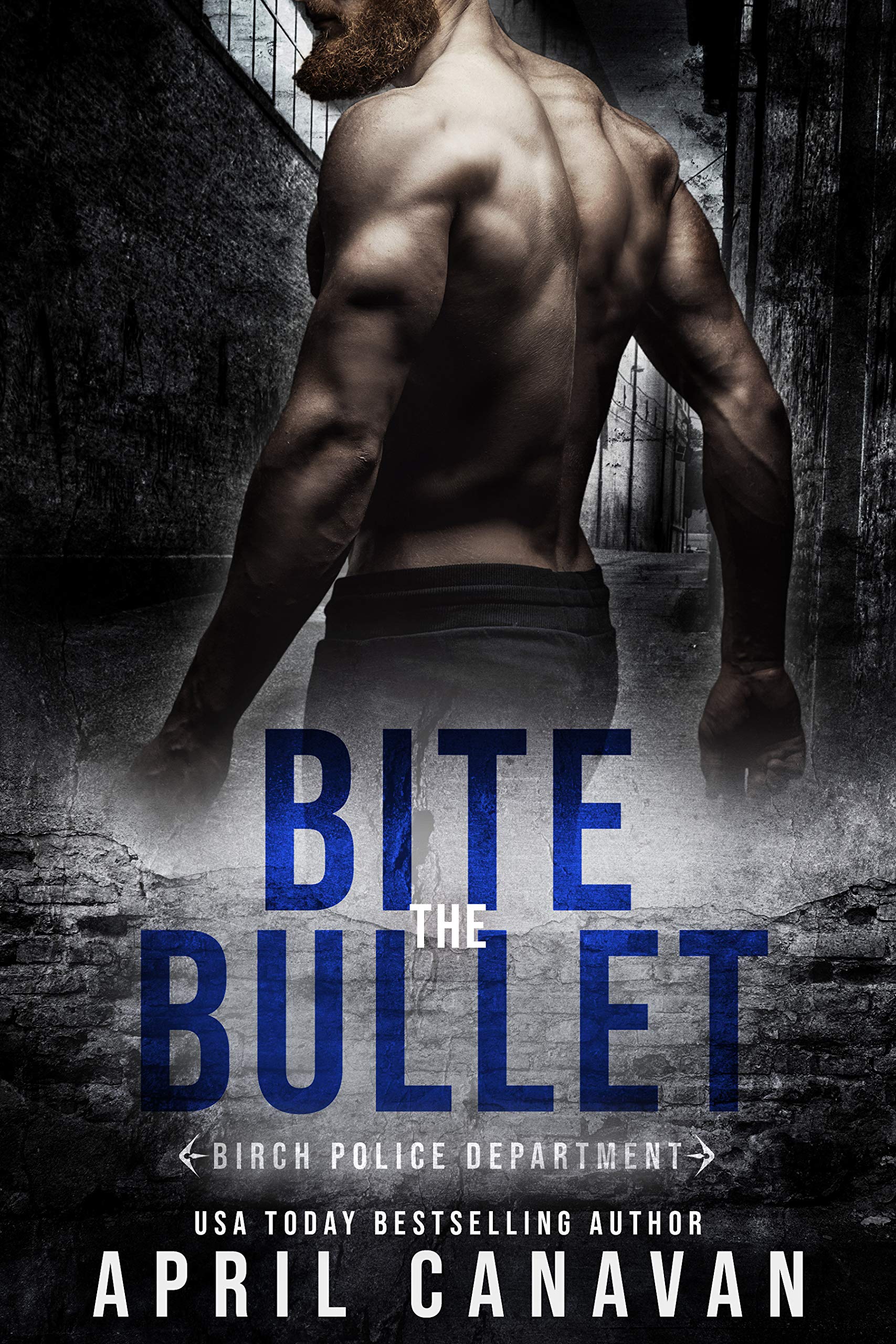 Birch County Heroes book cover 3